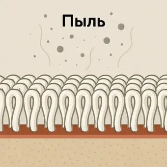 Удаление поверхностной пыли